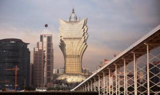 我的左手右手全集觀看 我的左手右手全集觀看