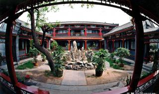 永不凋零的花是什么花