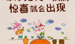 2021中國好聲音11進(jìn)8