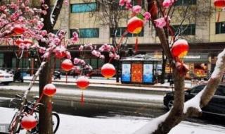 帶冰墩墩去故宮被圍觀