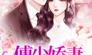 他的心尖寵電視劇免費(fèi)觀看