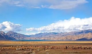 烏魯木齊到可可托海 烏魯木齊到可可托海